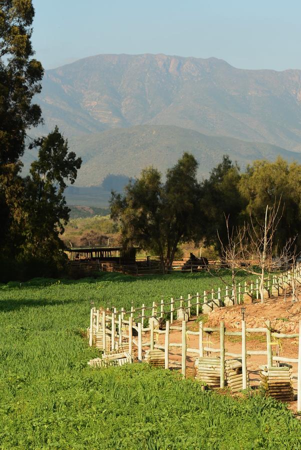 Hacienda Santa Cristina Ovalle Exterior foto